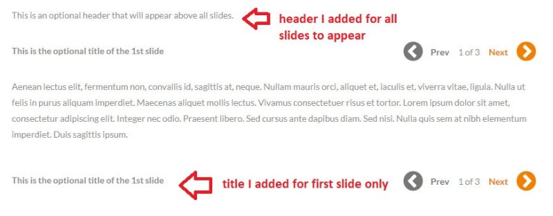Theia Post Slider 示例预览。