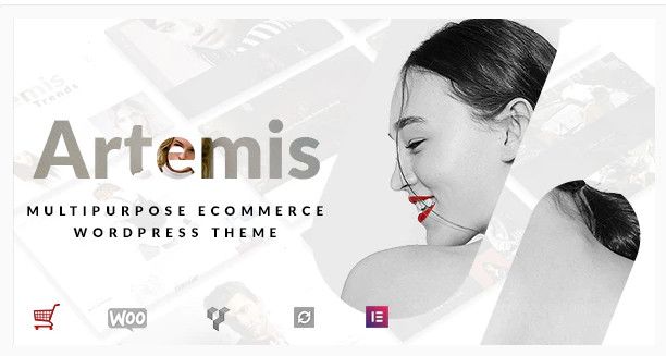 Tema dell'e-commerce Artemis.