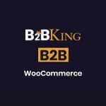 Gutscheincode für B2BKing-Rabatt.