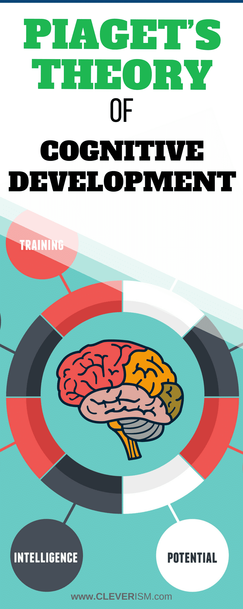 piaget intelligence theory