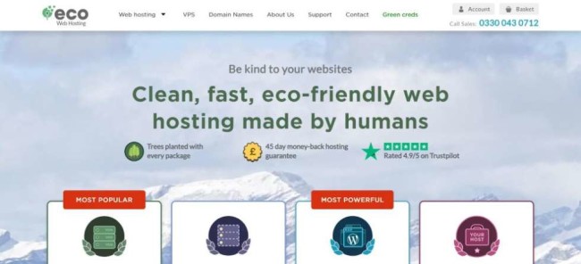 Eco Web Hosting screenshot as one of the best hosting providers