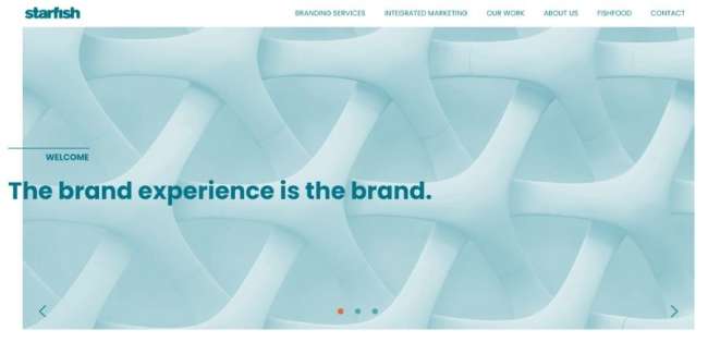 migliori-agenzie-Starfish Best agencies: Starfish