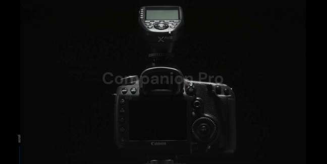 Neoluma Companion Pro 사진 포트폴리오 웹사이트