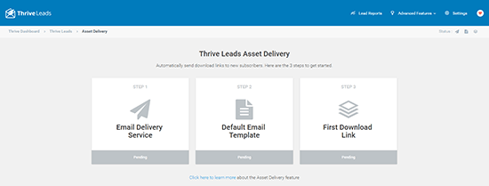 Asset Delivery