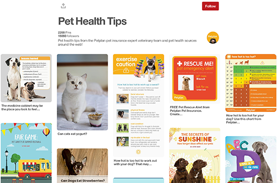 Petplan Pinterest寵物健康小貼士