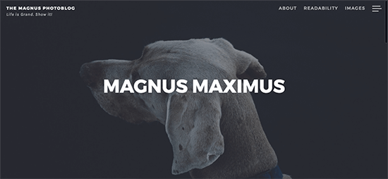 Magnus