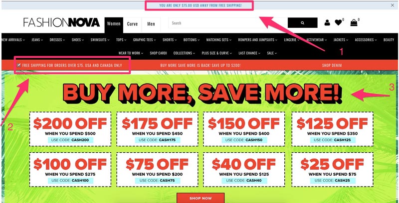 FashionNova-Homepage-Annotated-Opti