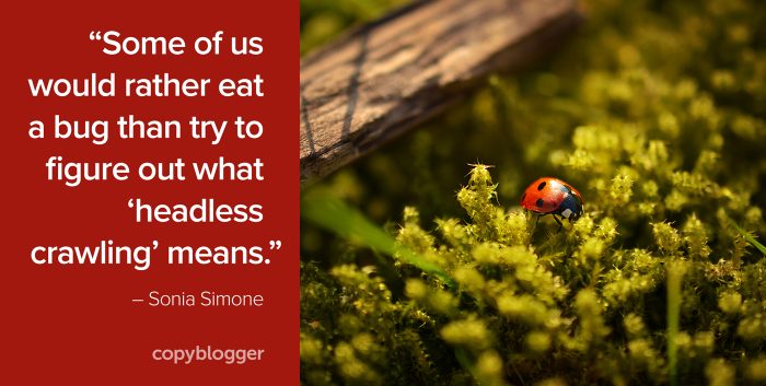 "Einige von uns würden lieber einen Käfer essen, als herauszufinden, was 'kopfloses Krabbeln' bedeutet." - Sonia Simone