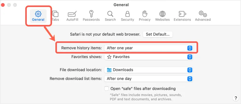 Opción Eliminar elementos del historial en Safari