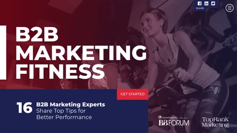 B2B营销适应性:16位B2B专家分享优化性能的重要技巧#mpb2b