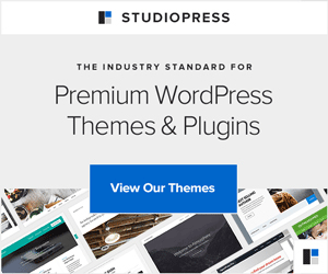 StudioPress 블랙 프라이데이 배너