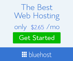 Bluehost 블랙 프라이데이 배너