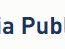 GRUPO DE PUBLICACIÓN DE MEDIOS DE ASIA CO. LTD