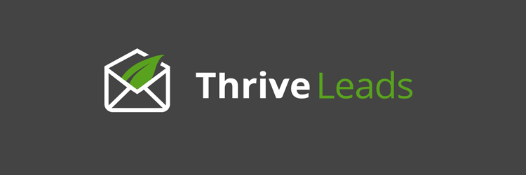 Thrive-Leads-Черная пятница