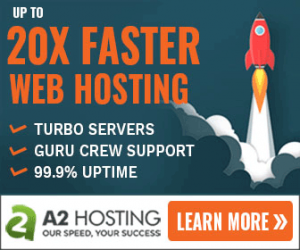 A2 Hosting Black Friday Banner