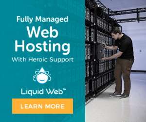 Banner del Black Friday di Web Hosting
