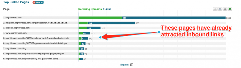 Find Most Linked Content on cognitiveSEO