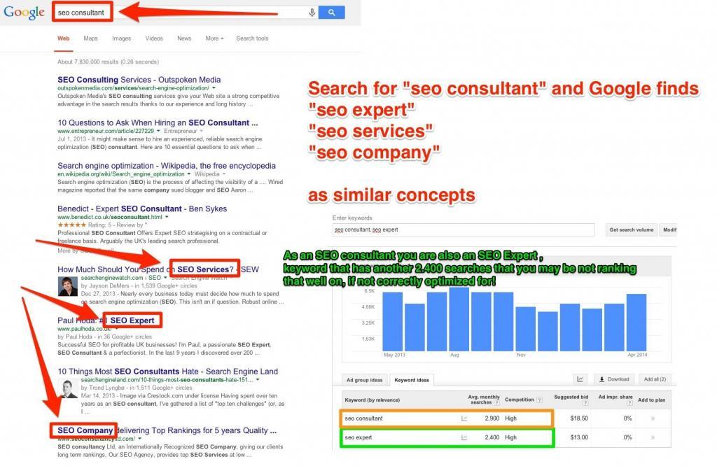 seo-consultant-seo-expert-synonyme