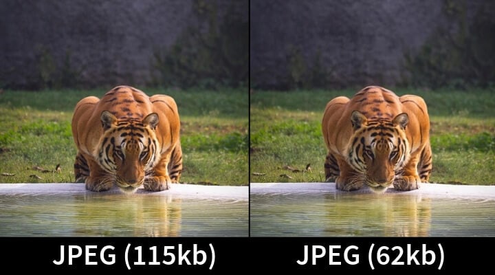 Сжатый JPEG