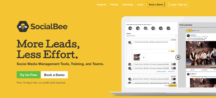 SocialBee 2019