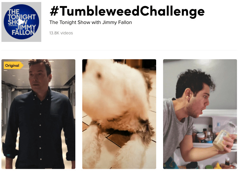 Wyzwanie TikTok Tumbleweed