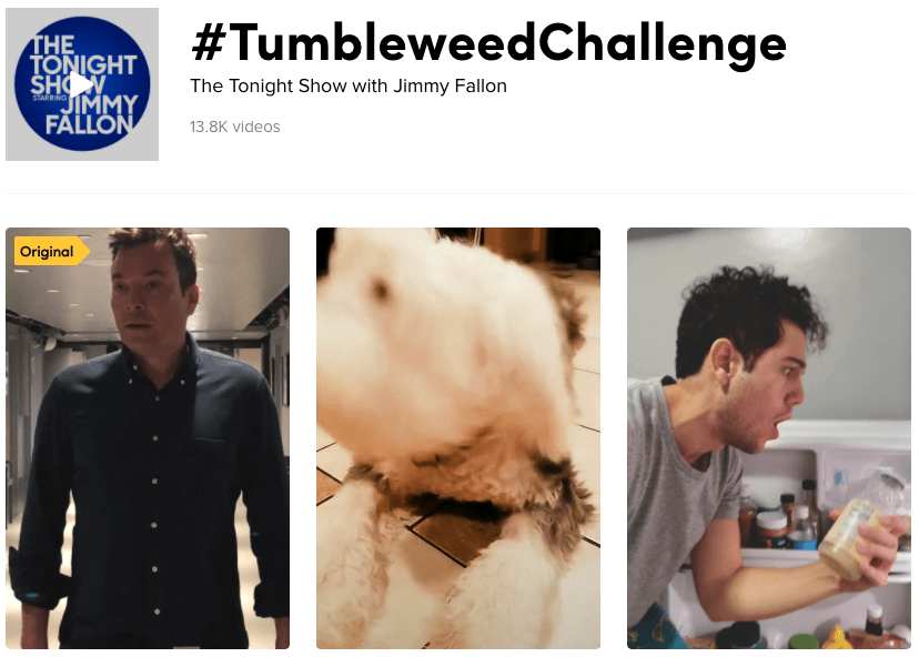 TikTok Tumbleweed Challenge