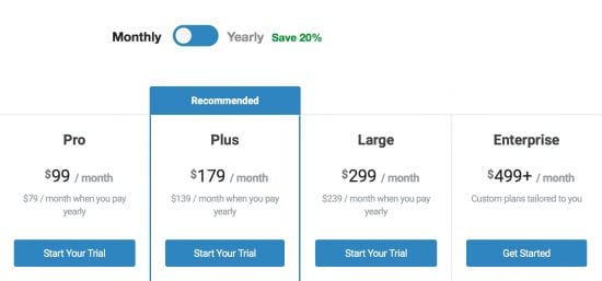 Buzzsumo 월간 요금제