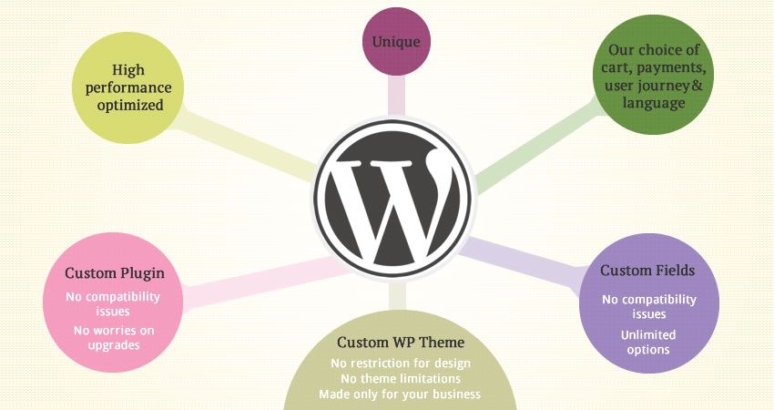 Wordpress custom theme development affde 