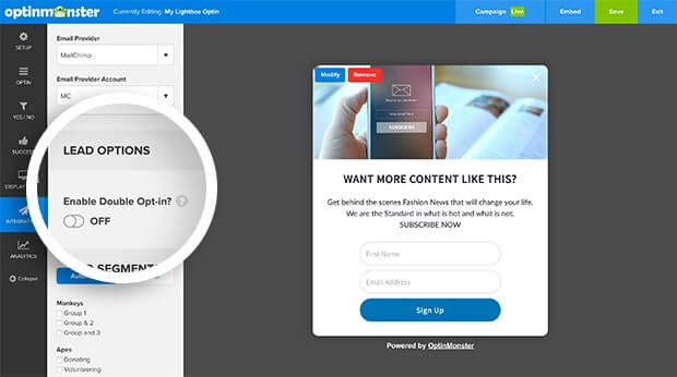 double opt in vs single opt in - integracja mailchimp om