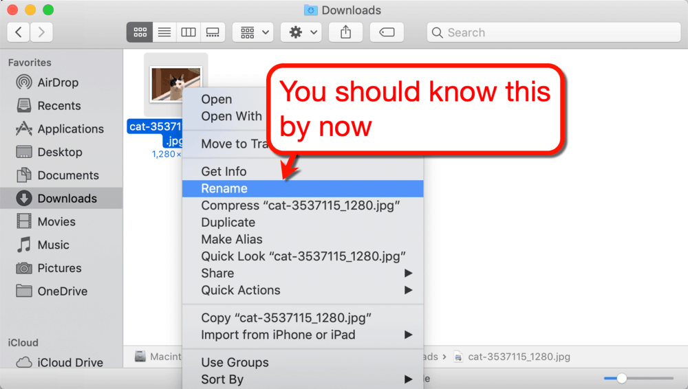 Redenumirea imaginilor în Mac
