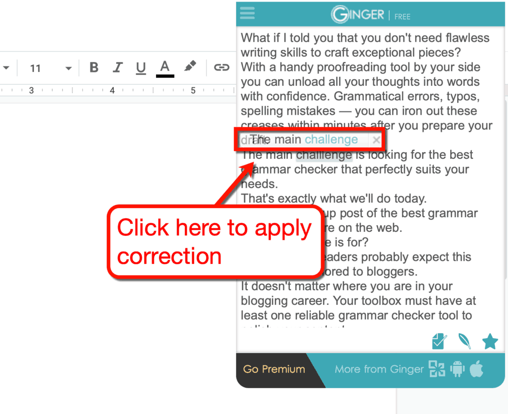 Suggerimenti per la correzione del software Ginger