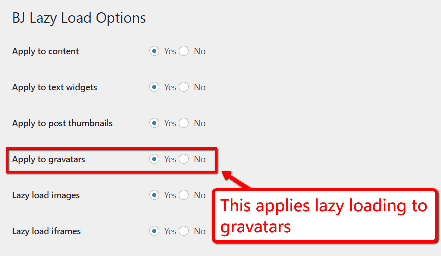 BJ Lazy Load-Optionen