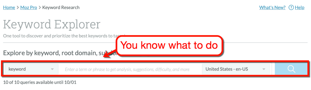 Interface do Moz Keyword Explorer