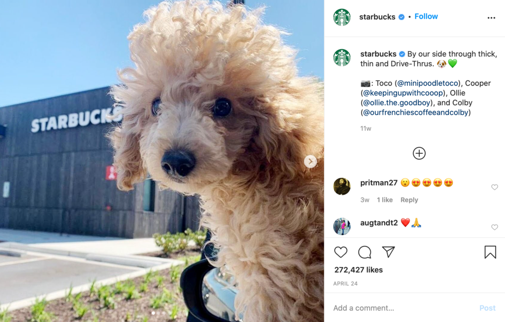 Starbucks auf Instagram