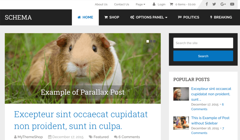 Captură de ecran a temei schemei
