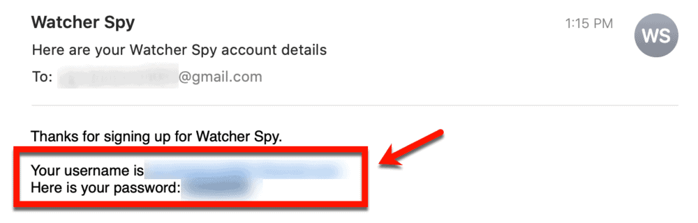 Email de detalhes da conta WatcherSpy