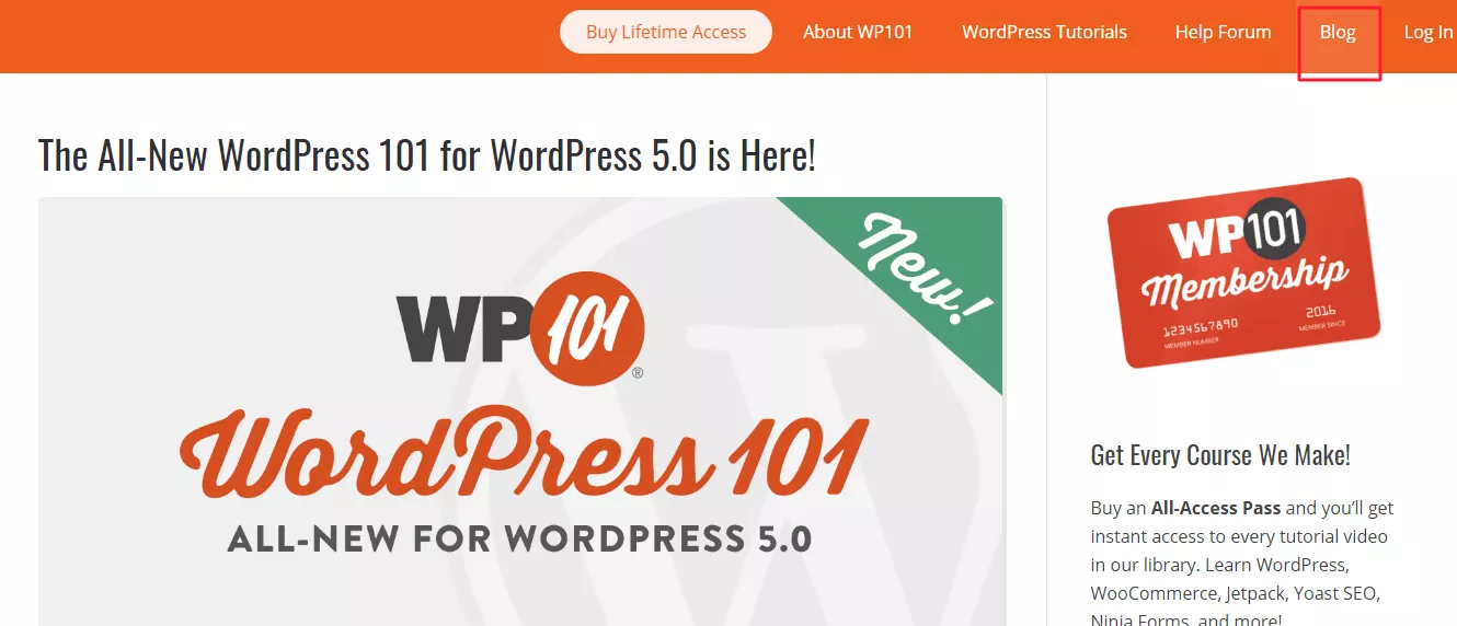 blog wp 101