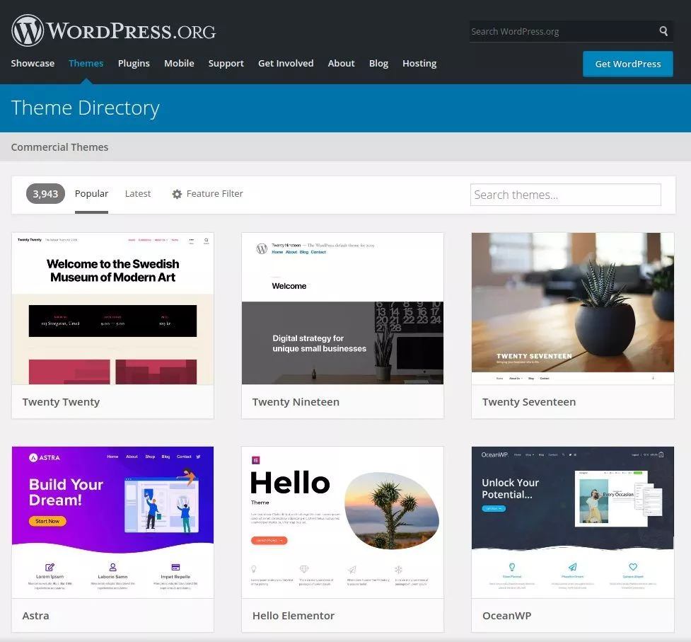 WordPress Tema Dizini