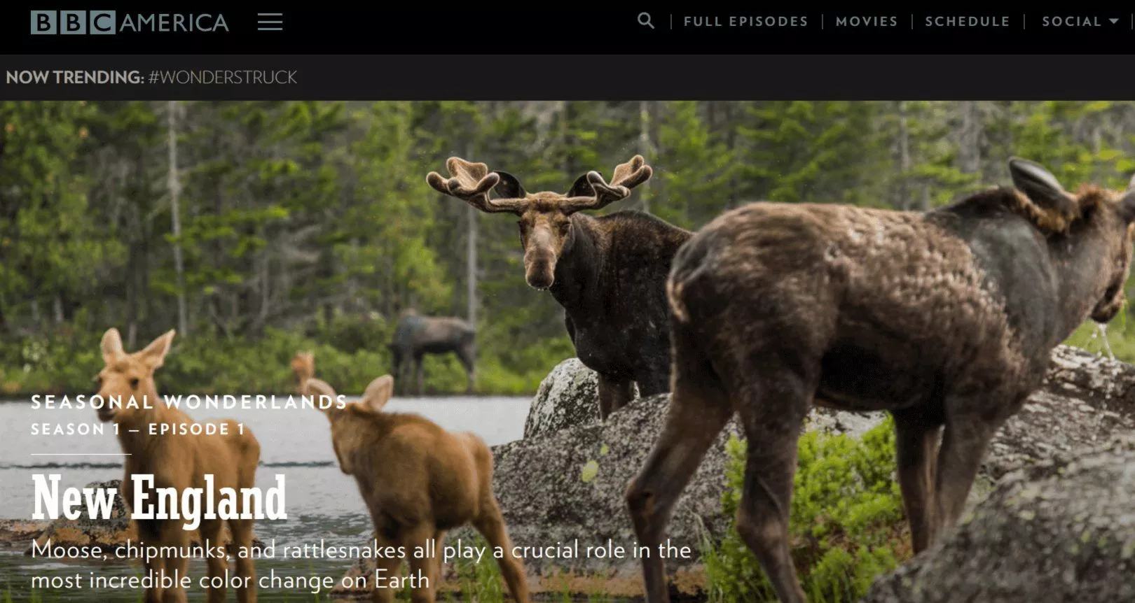bbc america