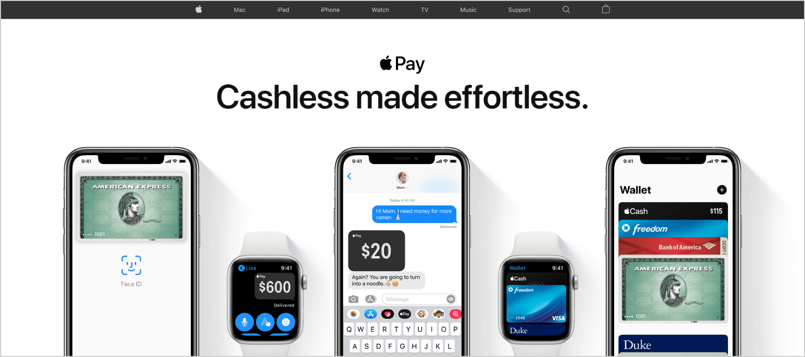 Apple Pay ana sayfası