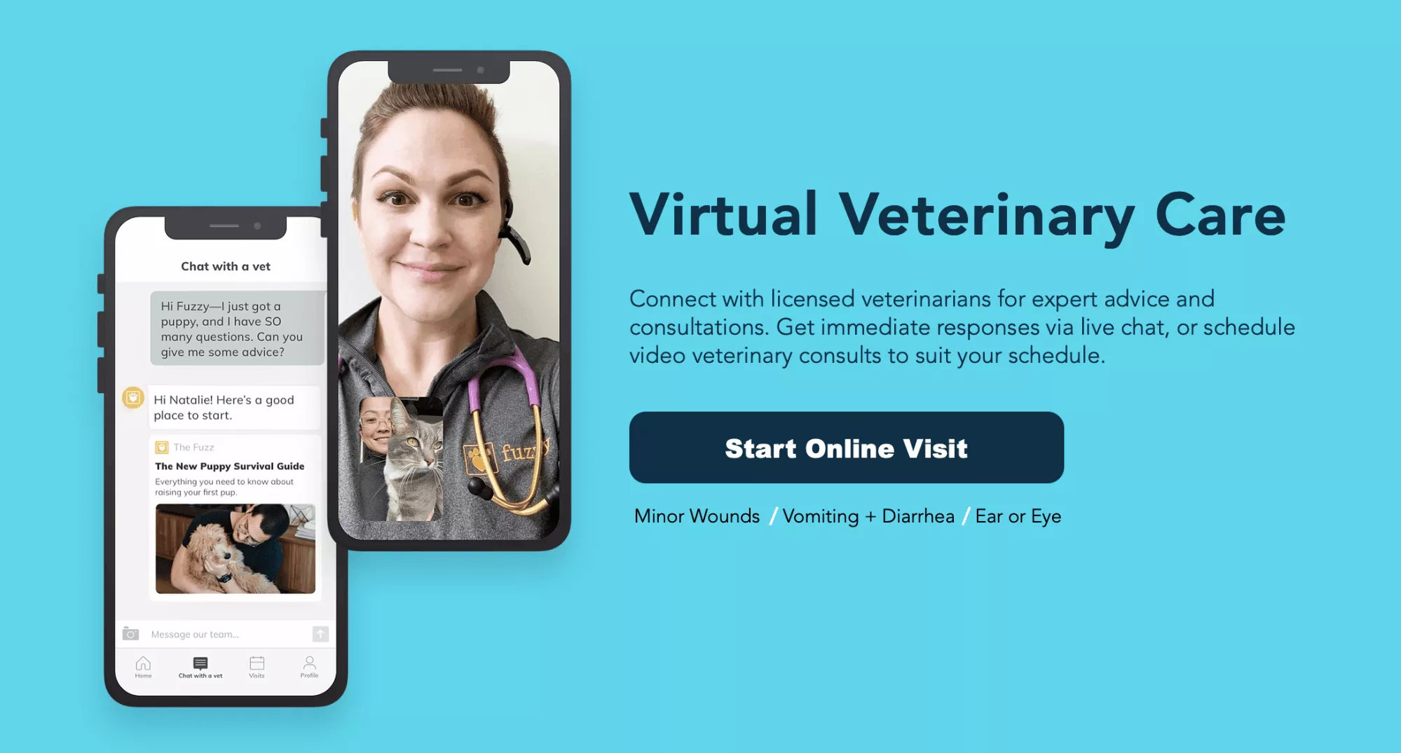 exemple de soins vétérinaires virtuels