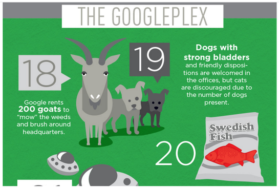 Lo mejor de WordStream datos locos de Google