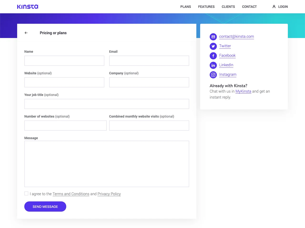 Kinsta-Formularbeispiel