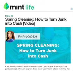 exemple de mintlife