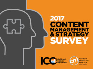2017_ICC_CMI_StrategySurvey_Cover